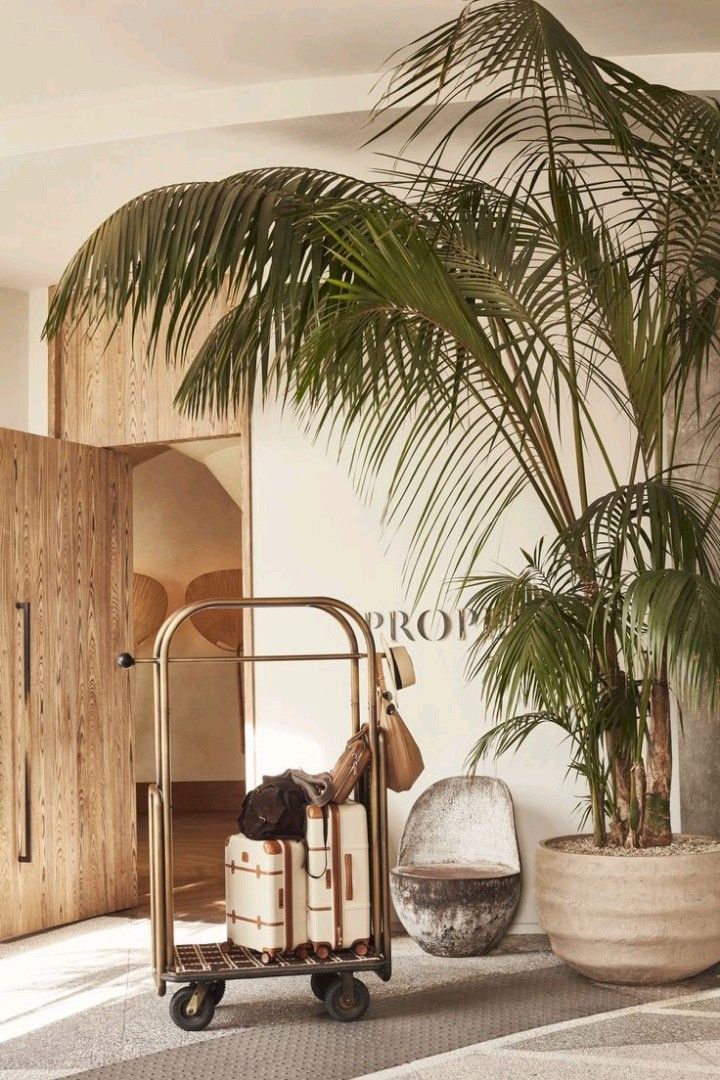 Luxury hotel arrival with palms
